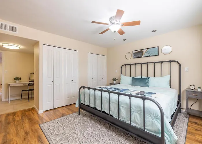 Orange Blossom Scottsdale