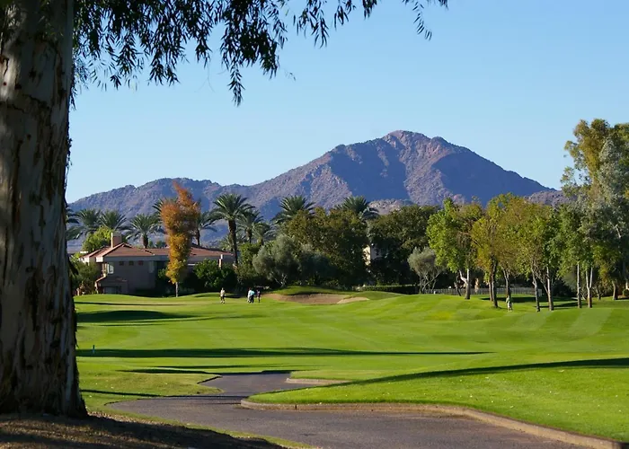 Orange Blossom Scottsdale